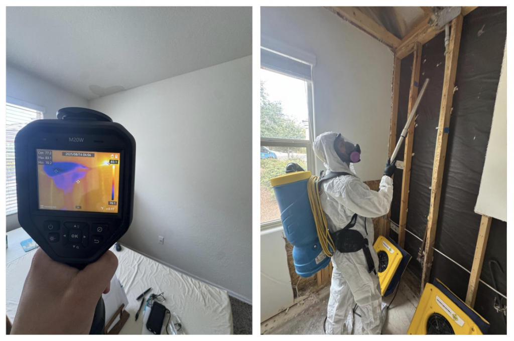 mold testing and remediation in florence